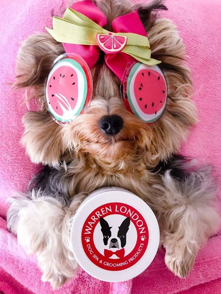 Warren London Dog Products - Hydrating Butter Balm for Nose & Paws - 4 oz